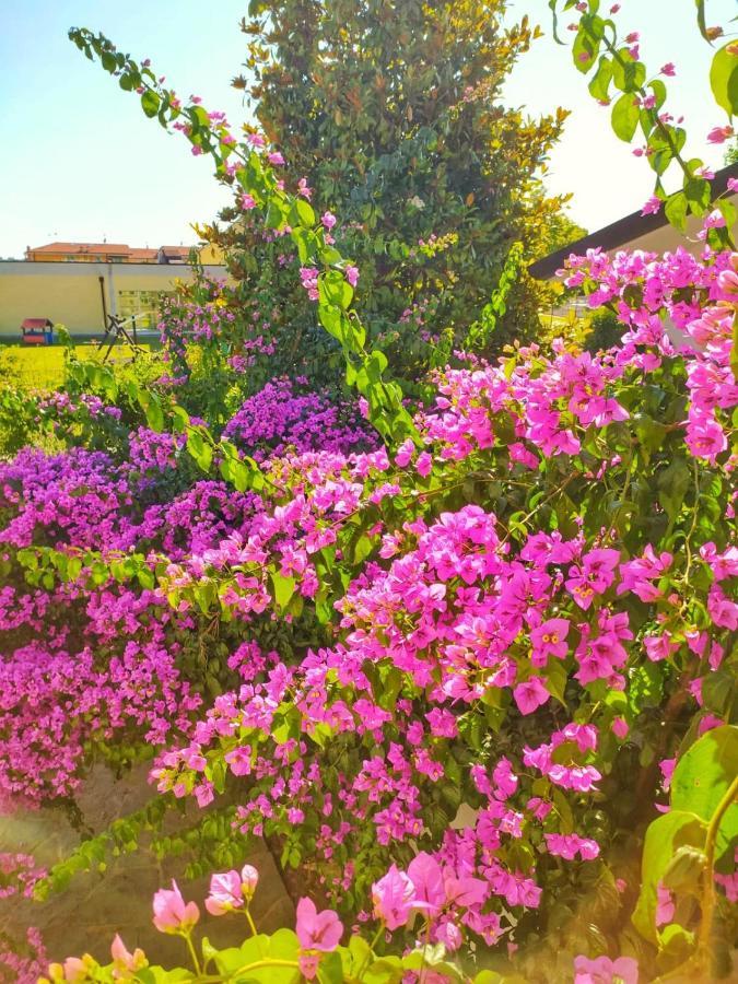 B&B Villa La Bouganville Camaiore Eksteriør bilde