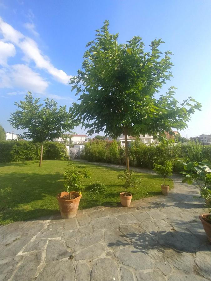 B&B Villa La Bouganville Camaiore Eksteriør bilde