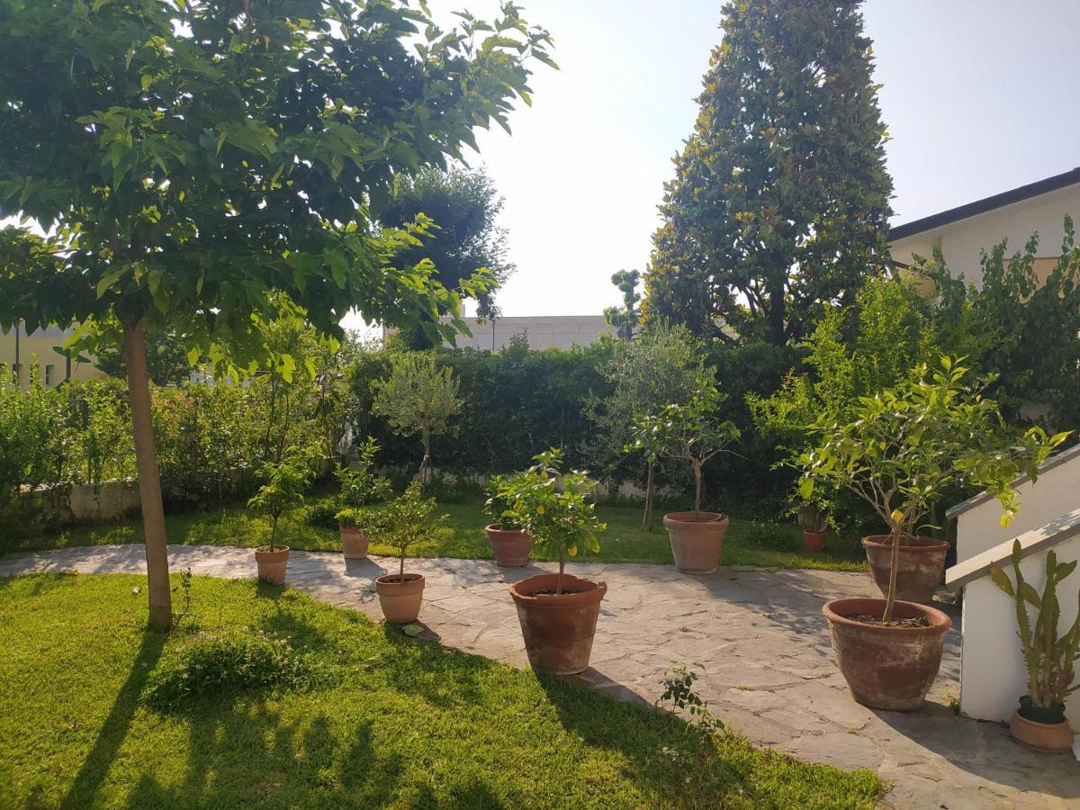 B&B Villa La Bouganville Camaiore Eksteriør bilde