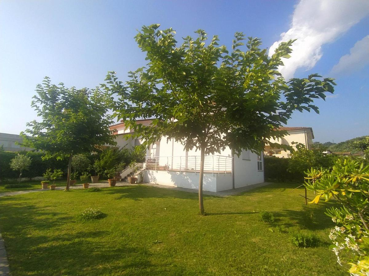 B&B Villa La Bouganville Camaiore Eksteriør bilde