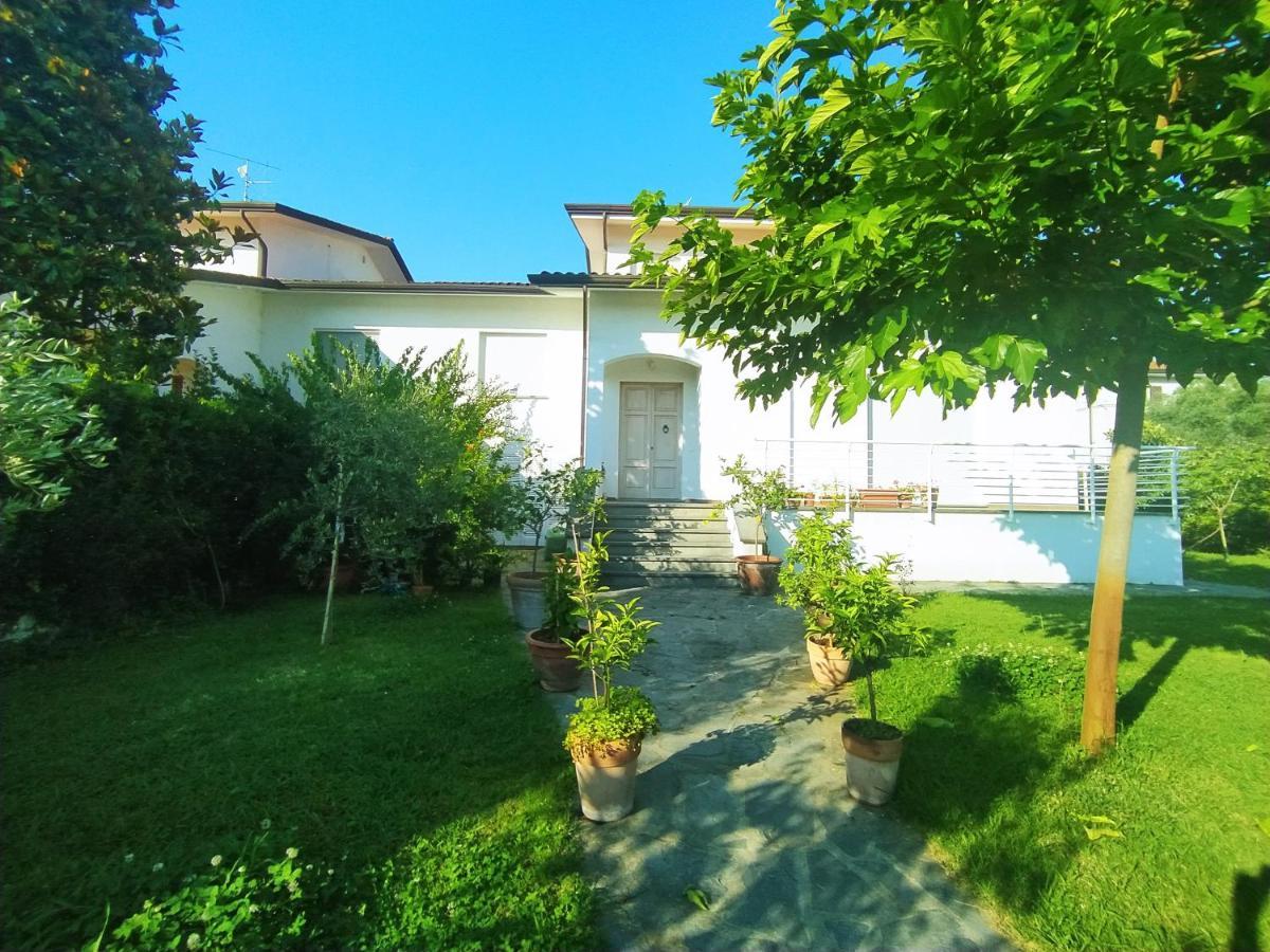 B&B Villa La Bouganville Camaiore Eksteriør bilde