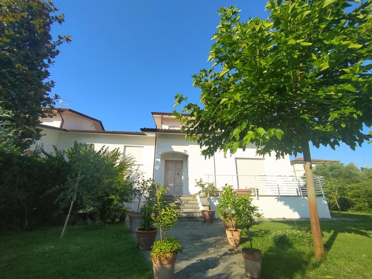 B&B Villa La Bouganville Camaiore Eksteriør bilde