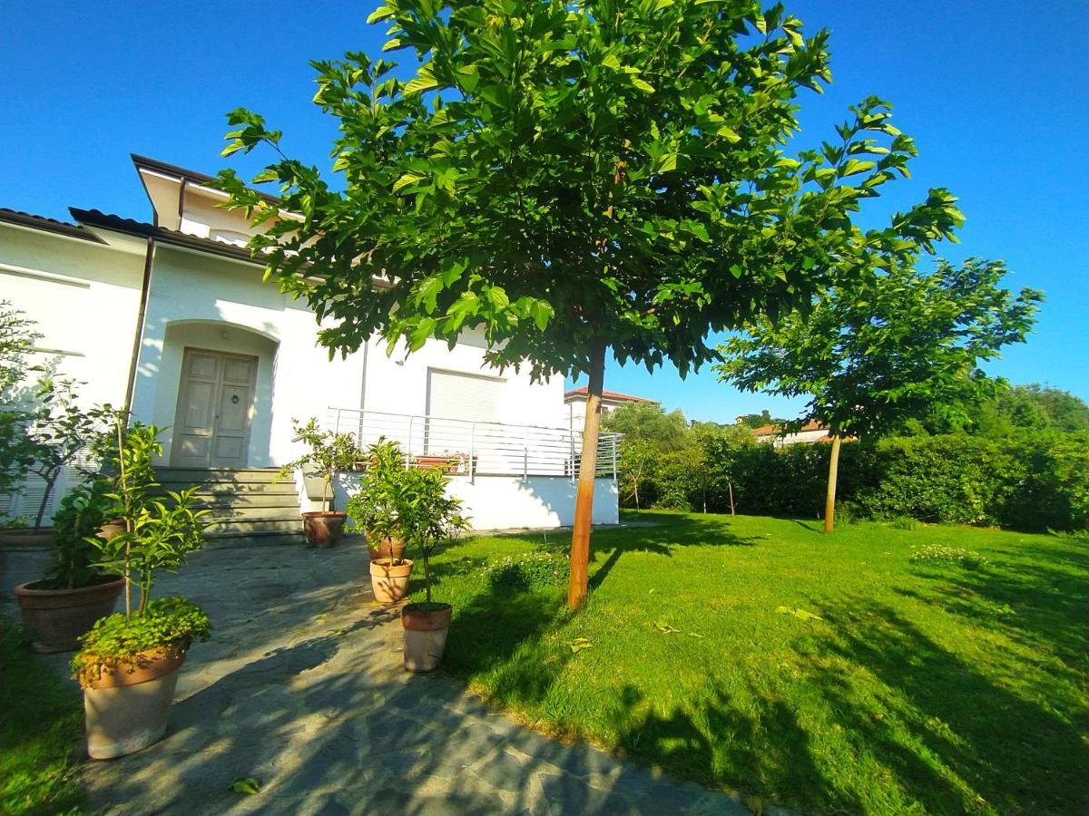 B&B Villa La Bouganville Camaiore Eksteriør bilde