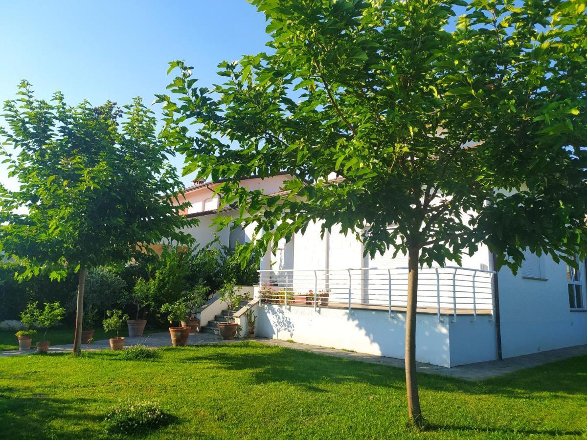 B&B Villa La Bouganville Camaiore Eksteriør bilde