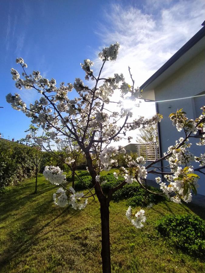 B&B Villa La Bouganville Camaiore Eksteriør bilde